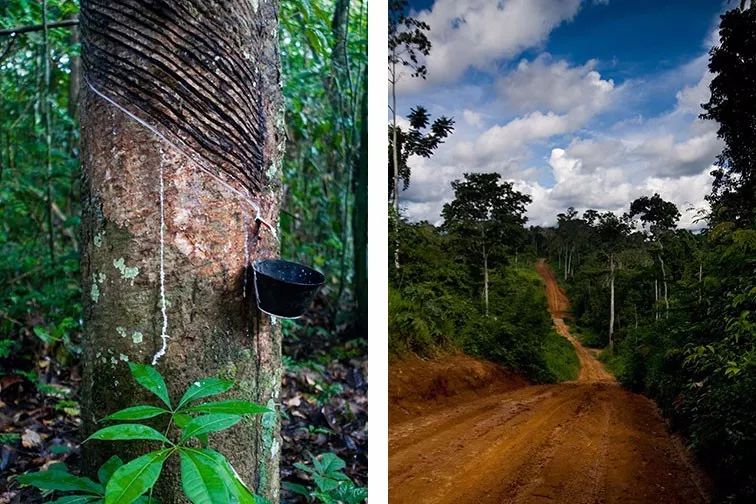 女生买鞋推荐平价,换季应该买什么鞋比较便宜