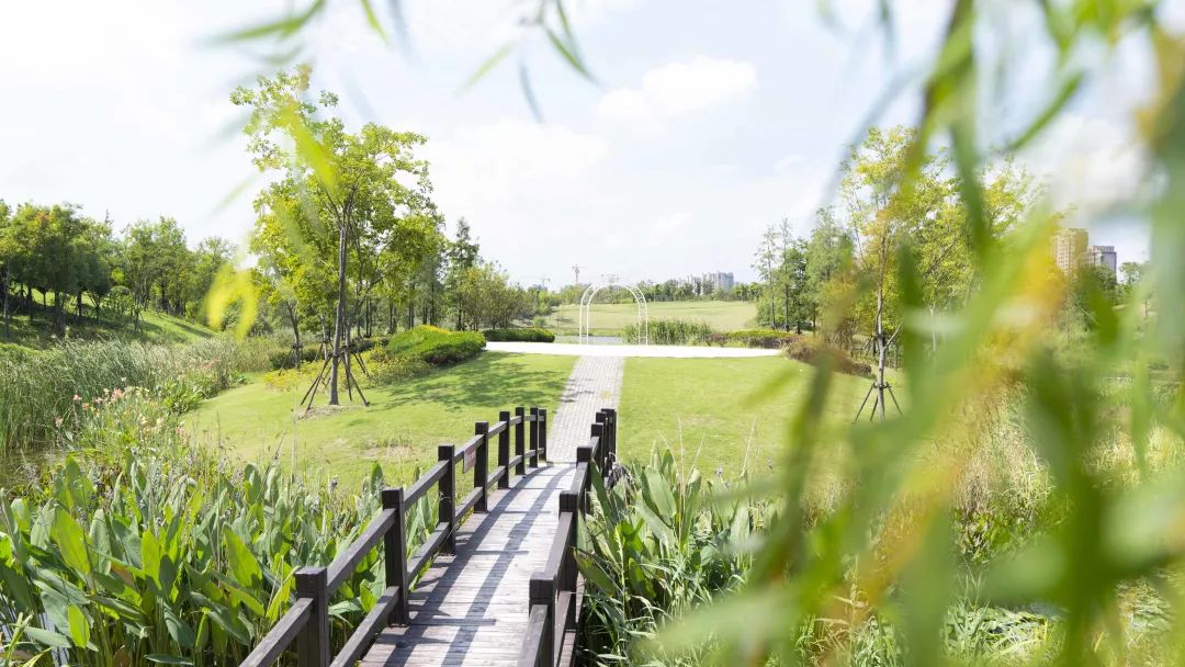 白沙公园开园没有,白沙公园开园