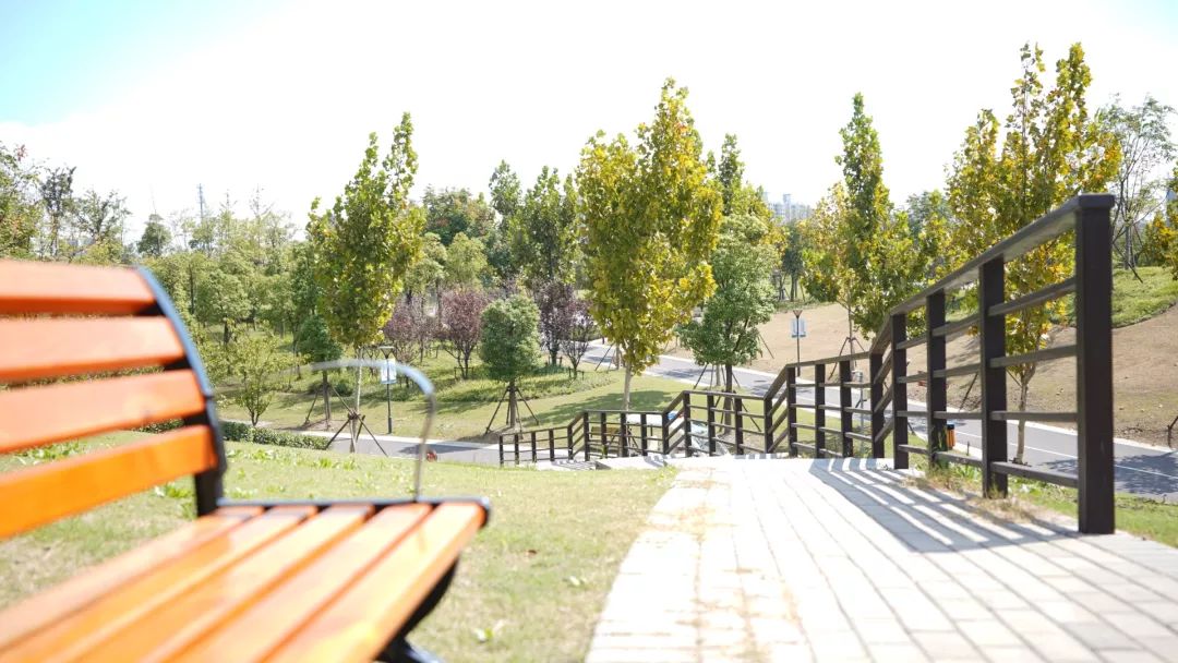 白沙公园开园没有,白沙公园开园