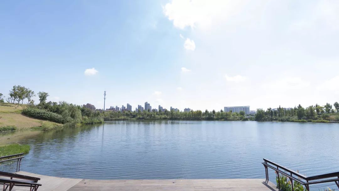 白沙公园开园没有,白沙公园开园