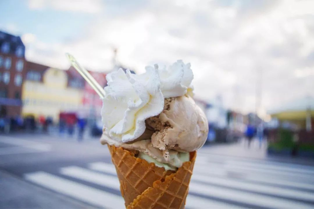 真羡慕丹麦人,连大象都提前退休了