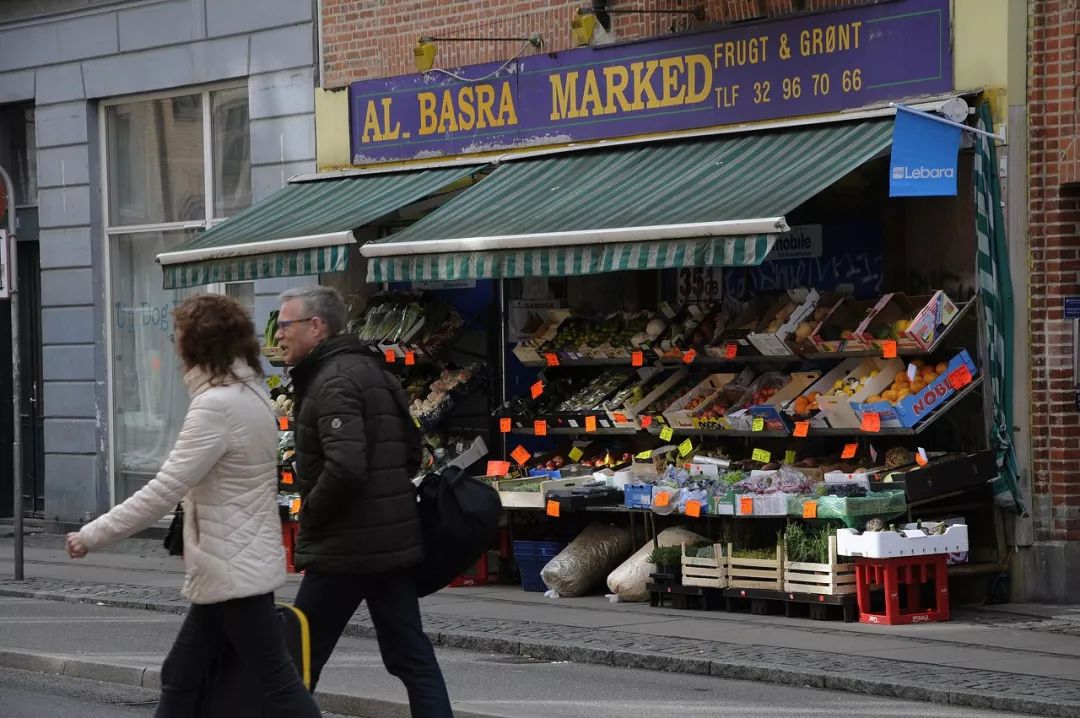 真羡慕丹麦人,连大象都提前退休了