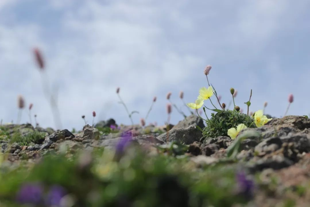 长白山神秘么,长白山有什么自然景象