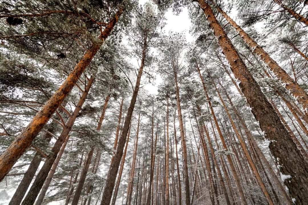 长白山神秘么,长白山有什么自然景象