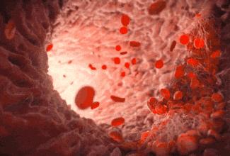 流量小花和实力小花演技,演技炸裂的流量小花