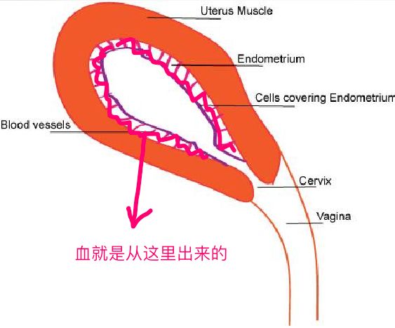 流量小花和实力小花演技,演技炸裂的流量小花
