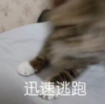 流量小花和实力小花演技,演技炸裂的流量小花