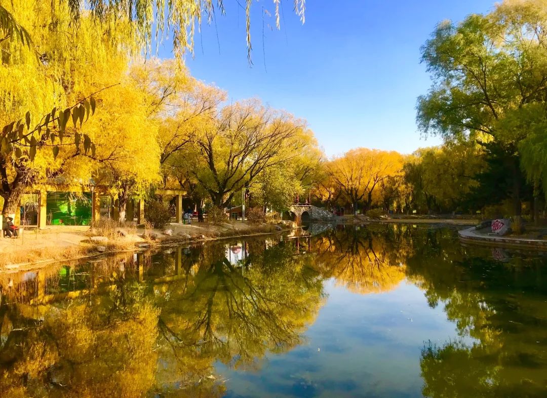 银川到哪里的机票最便宜,从银川到新疆的飞机票全价