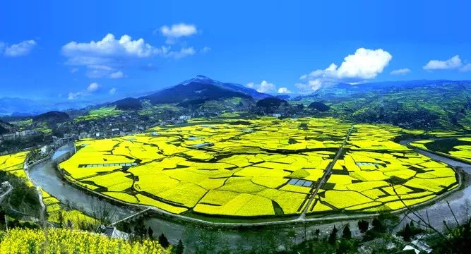 银川到哪里的机票最便宜,从银川到新疆的飞机票全价