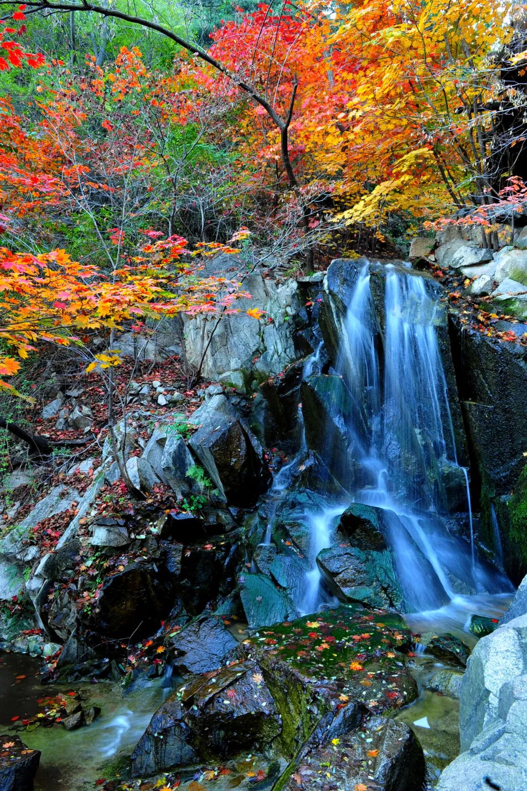 银川到哪里的机票最便宜,从银川到新疆的飞机票全价