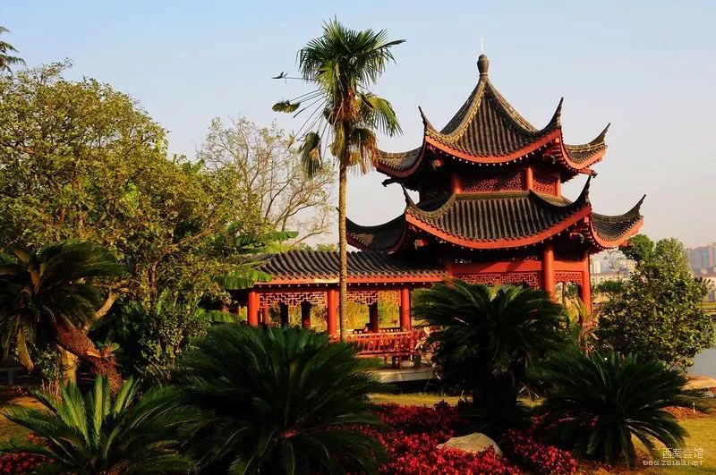 银川到哪里的机票最便宜,从银川到新疆的飞机票全价