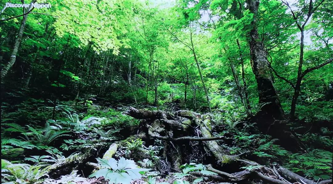 58t91海尔电视功能介绍,海尔58t91电视机价格表