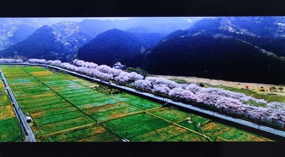 58t91海尔电视功能介绍,海尔58t91电视机价格表