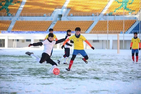 十四冬比赛馆在哪,十四冬运会比赛场馆