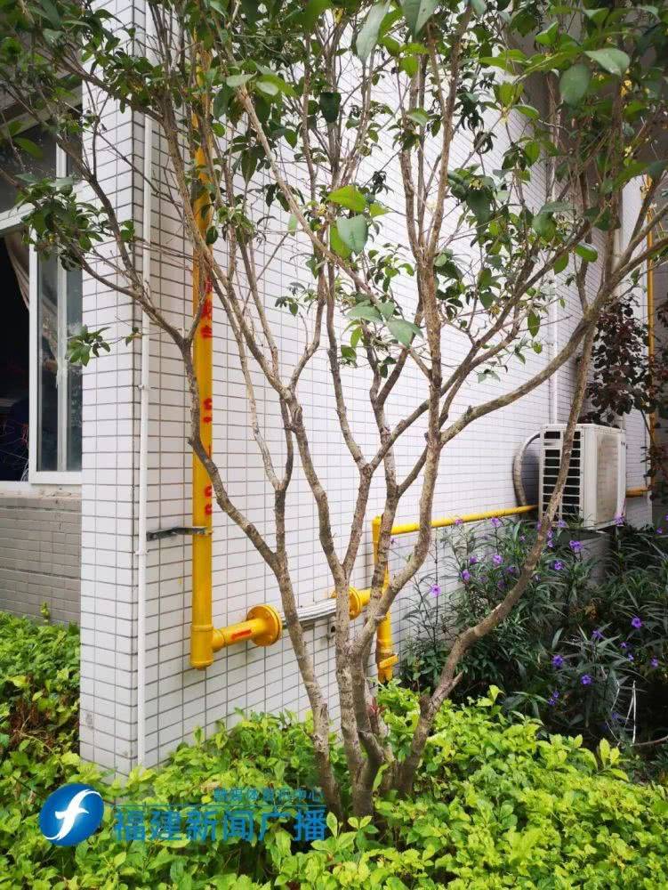 花钱买气福州一小区2000多户业主为“它”苦等8年