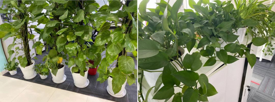 一失败女创业者5000字复盘:到处找生意,竟是找死