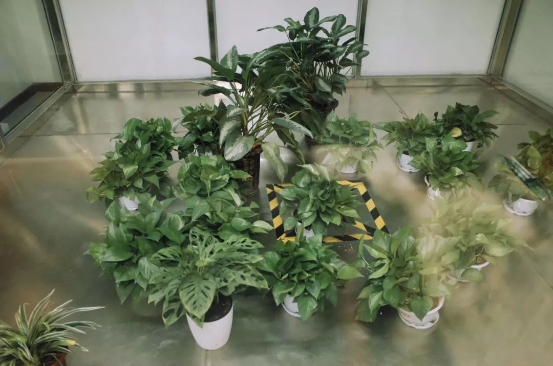 一失败女创业者5000字复盘:到处找生意,竟是找死