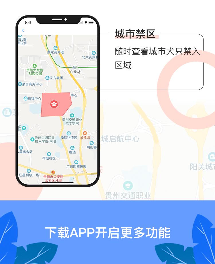 贵阳电子驾驶证开通了吗,贵阳犬证编号