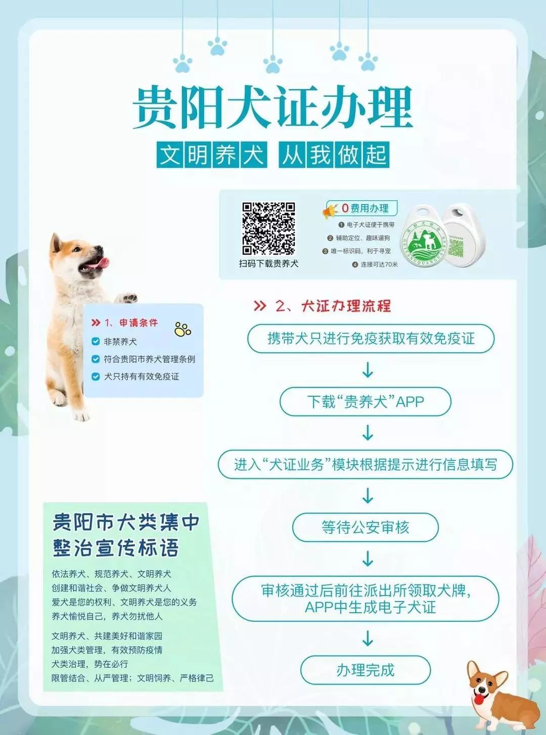 贵阳电子驾驶证开通了吗,贵阳犬证编号