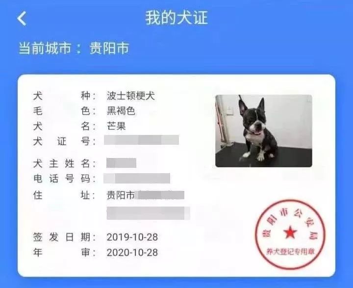 贵阳电子驾驶证开通了吗,贵阳犬证编号