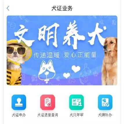 贵阳电子驾驶证开通了吗,贵阳犬证编号