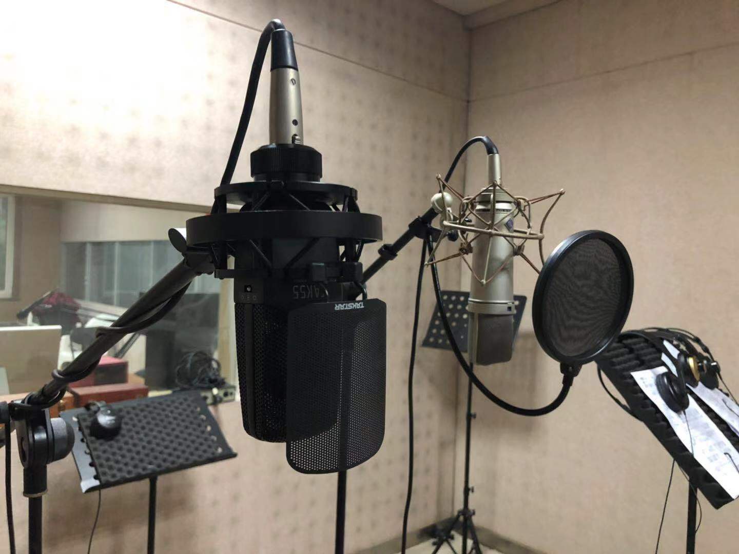 得胜tak45麦克风是电容的吗,得胜tak35电容麦克风