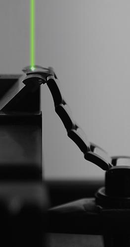 角度刁钻|年轻人第一只“皇家橡树”应该是什么样的？