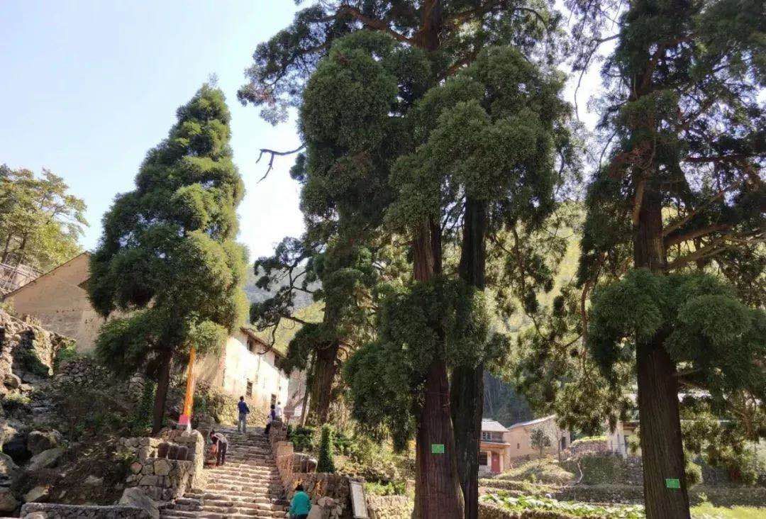 磐安十大秀美乡村,磐安周边村落游玩推荐