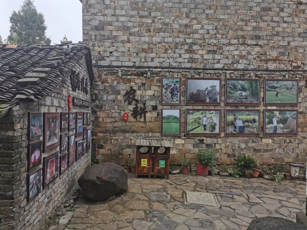 磐安十大秀美乡村,磐安周边村落游玩推荐