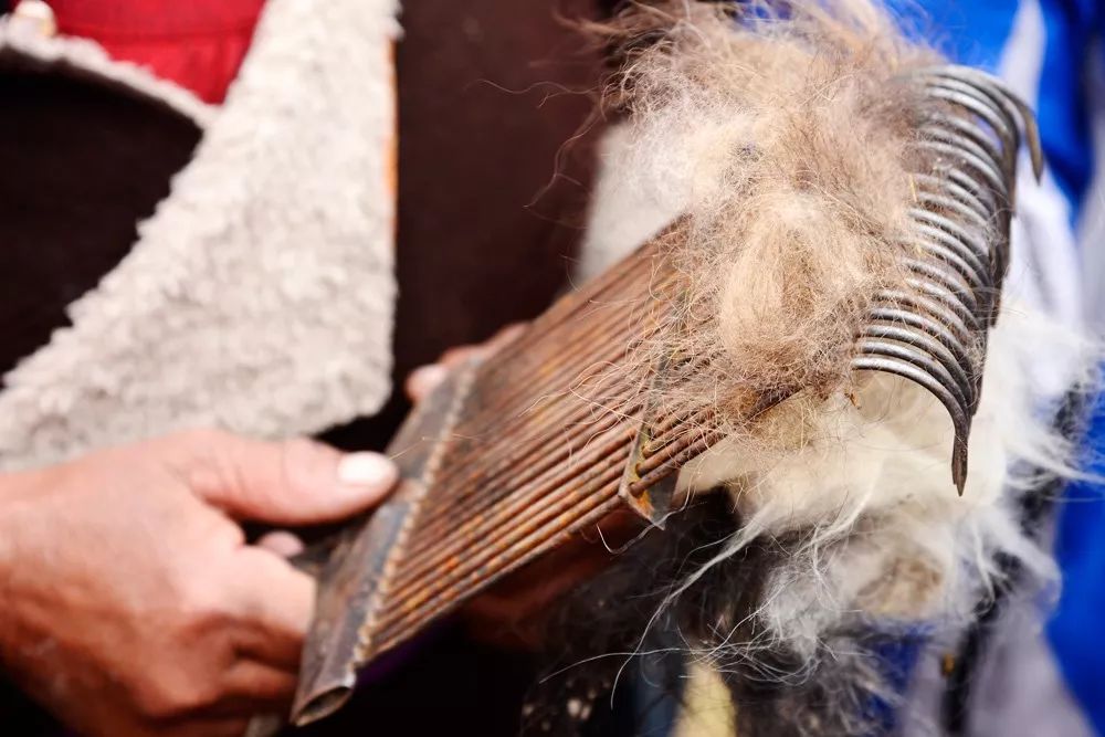 西藏牦牛毛编织衣服,牦牛绒毛衣编织