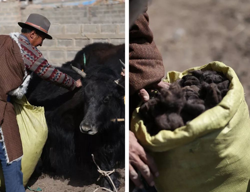 西藏牦牛毛编织衣服,牦牛绒毛衣编织
