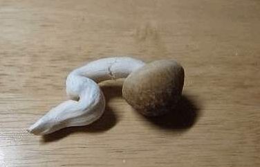 痛经君~我真是太难了!