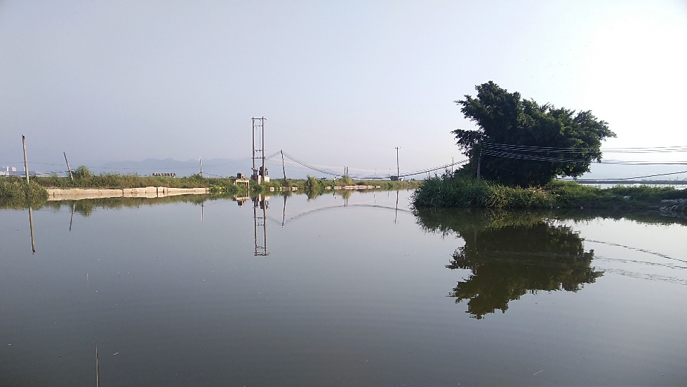 带友渔乐记渔获20斤，钓鱼不能*欢偷**