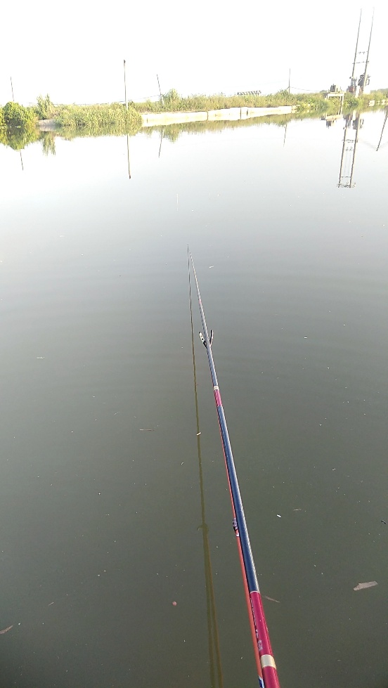 带友渔乐记渔获20斤，钓鱼不能*欢偷**