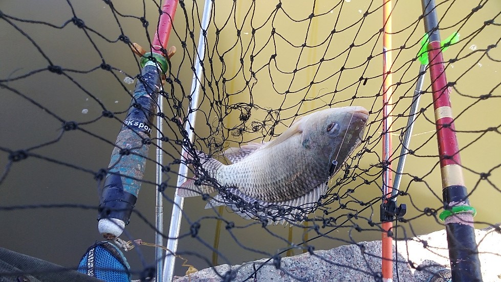 带友渔乐记渔获20斤，钓鱼不能*欢偷**