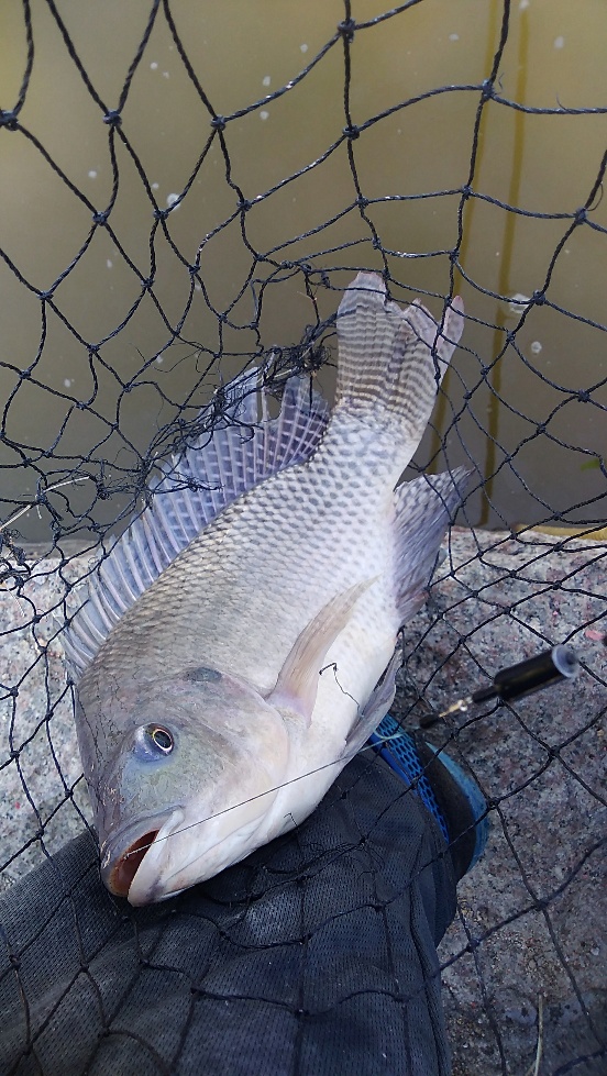 带友渔乐记渔获20斤，钓鱼不能*欢偷**