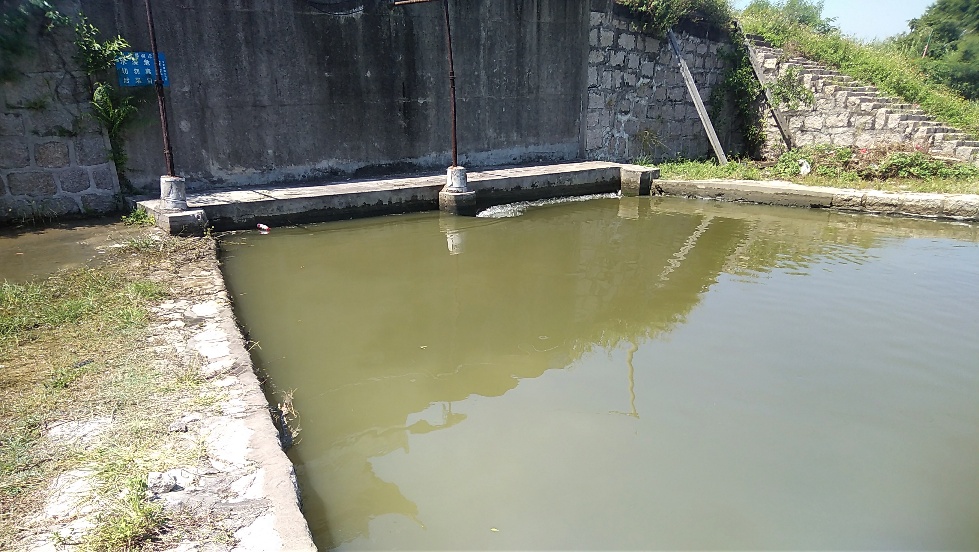 带友渔乐记渔获20斤，钓鱼不能*欢偷**