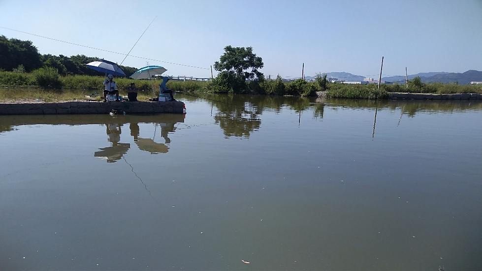 带友渔乐记渔获20斤，钓鱼不能*欢偷**