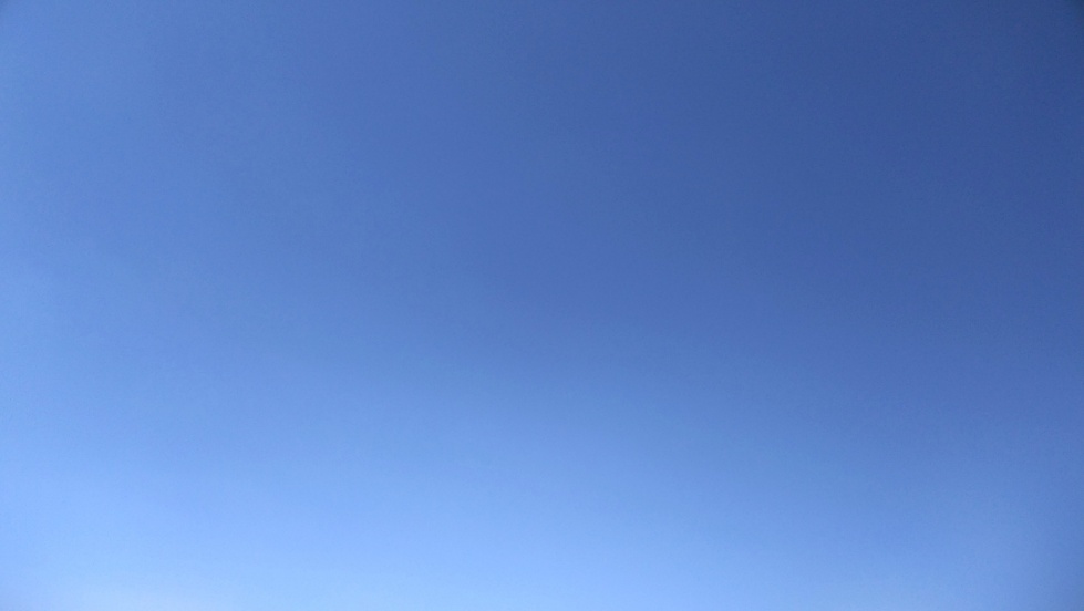 带友渔乐记渔获20斤，钓鱼不能*欢偷**