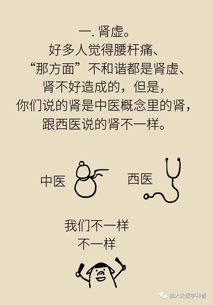 肾虚健康常识,医生科普肾虚