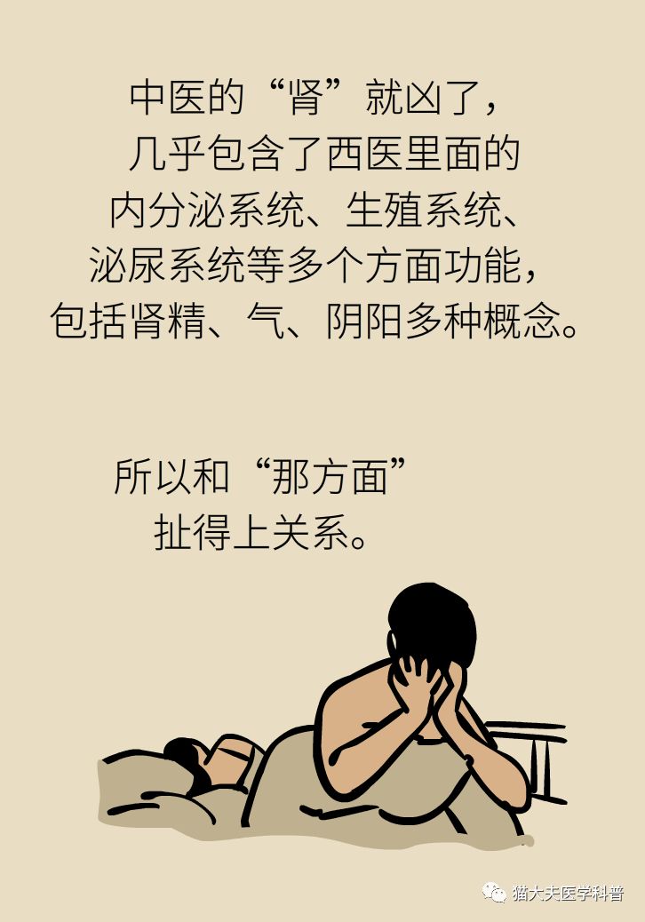 肾虚健康常识,医生科普肾虚