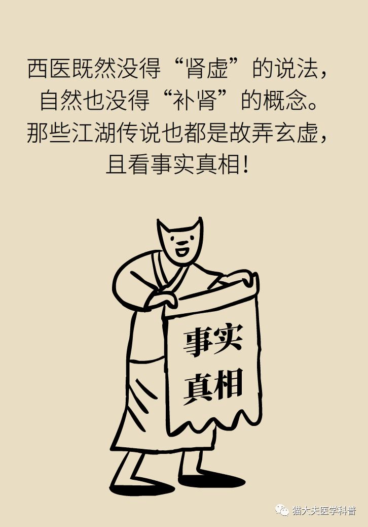 肾虚健康常识,医生科普肾虚