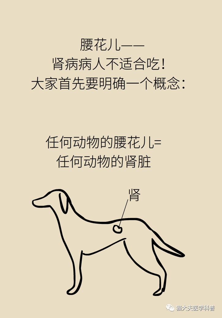 肾虚健康常识,医生科普肾虚