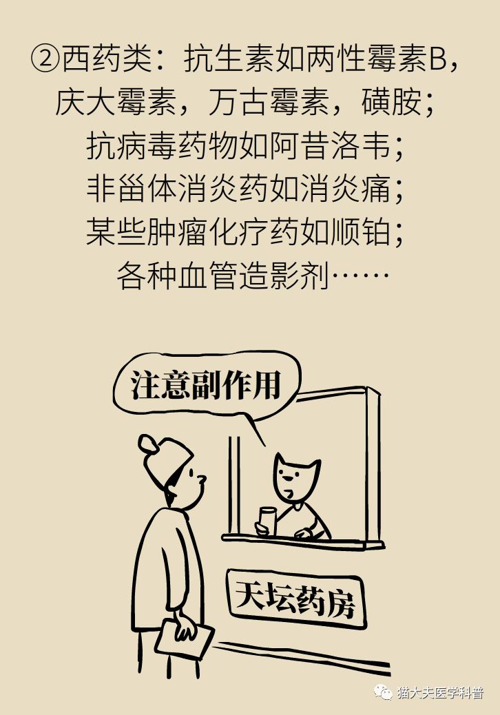 肾虚健康常识,医生科普肾虚