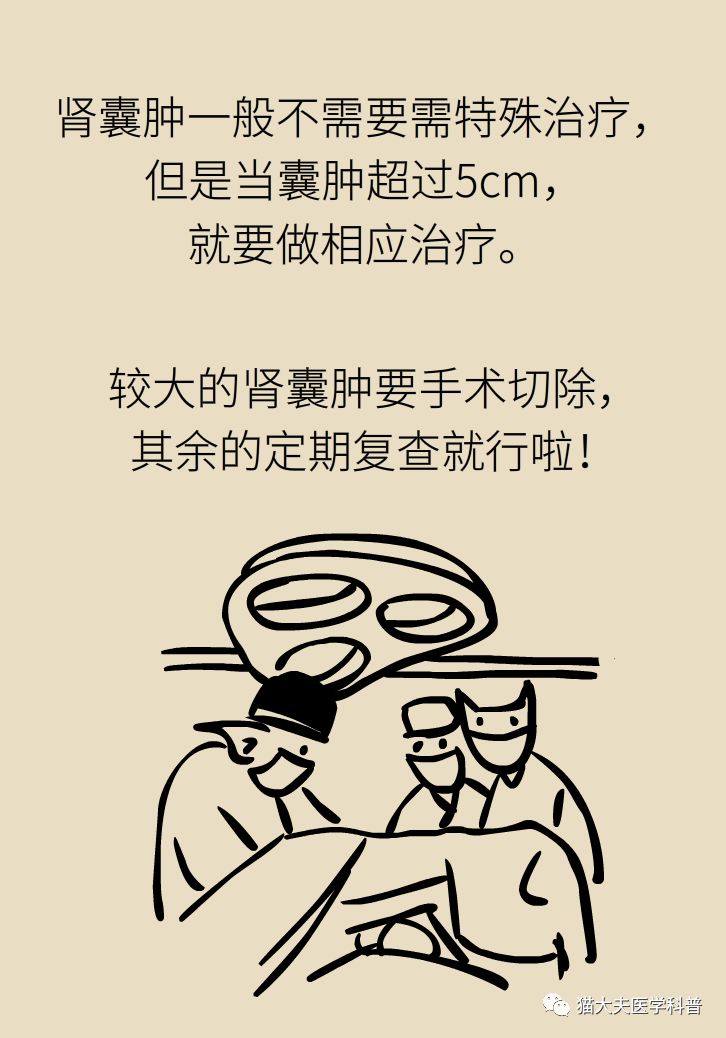 肾虚健康常识,医生科普肾虚