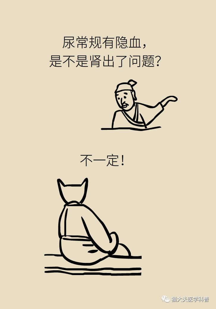 肾虚健康常识,医生科普肾虚