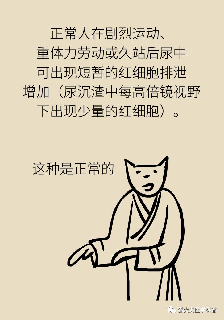 肾虚健康常识,医生科普肾虚