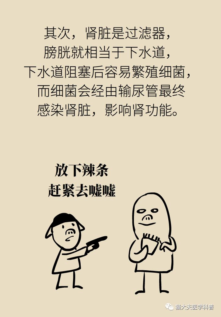 肾虚健康常识,医生科普肾虚