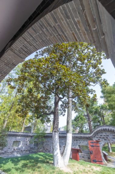 合肥竟有10处“国宝”!肥东两地上榜~