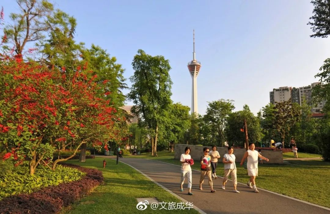 成都339最新消息,成都339进度